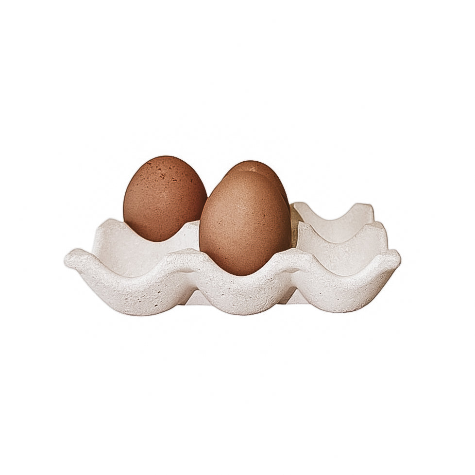 EGG TRAY